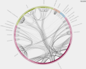 Interactive Visualizations